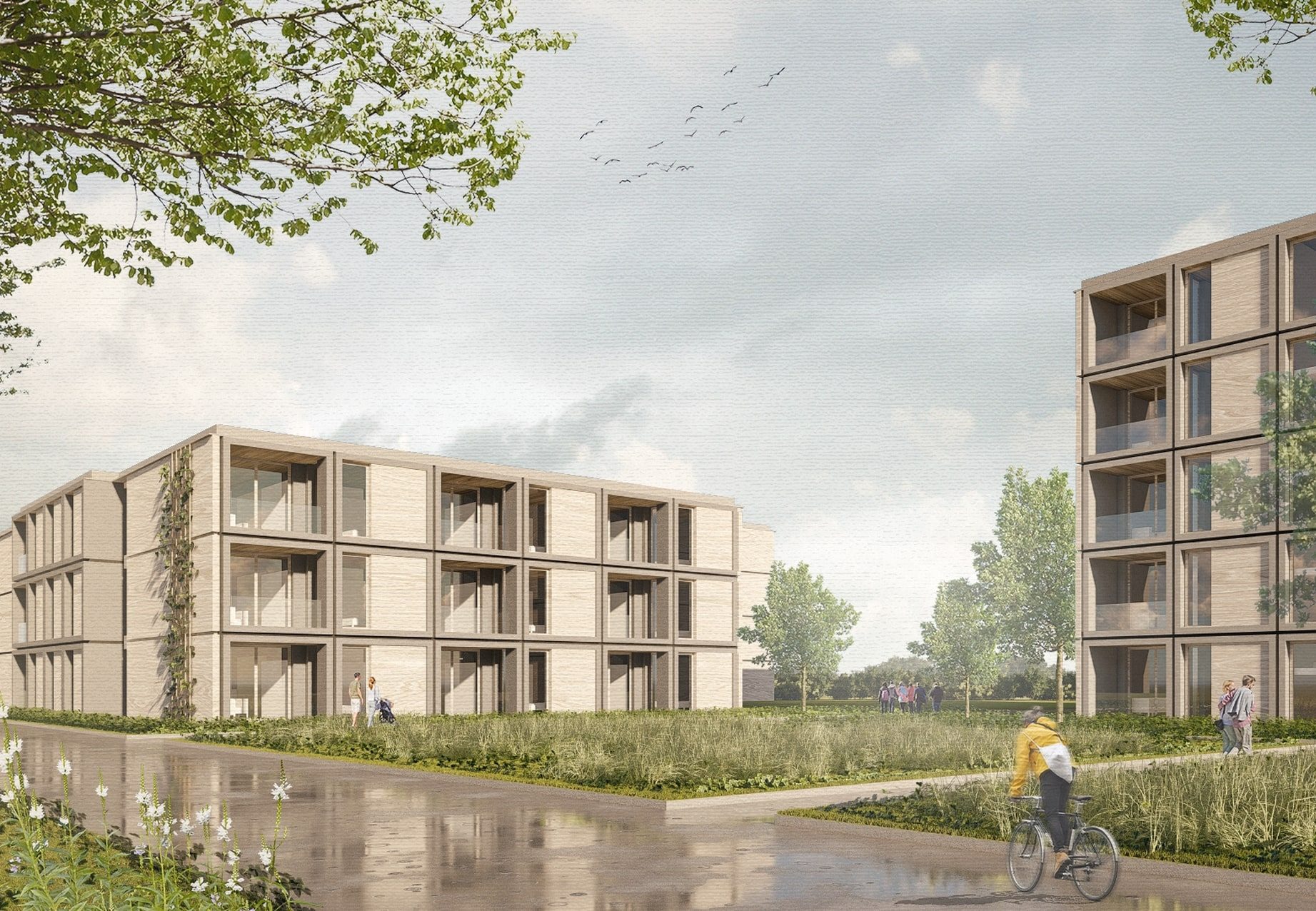 Moderne Wohngebäude aus Ziegelmodule, umgeben von Grünflächen und Bäumen. Eine Person fährt mit dem Fahrrad vorbei.