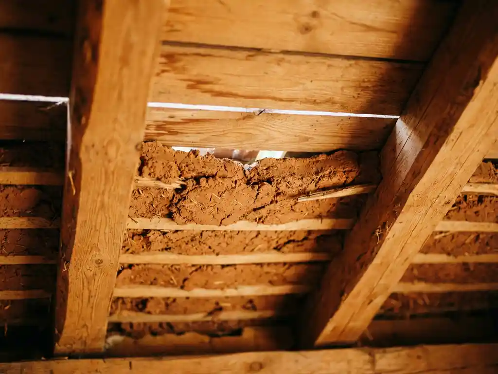 Holzbalkendecke im Querschnitt mit natürlicher Lehmisolierung zwischen honigfarbenen Balken, warmes Tageslicht betont organische Texturen